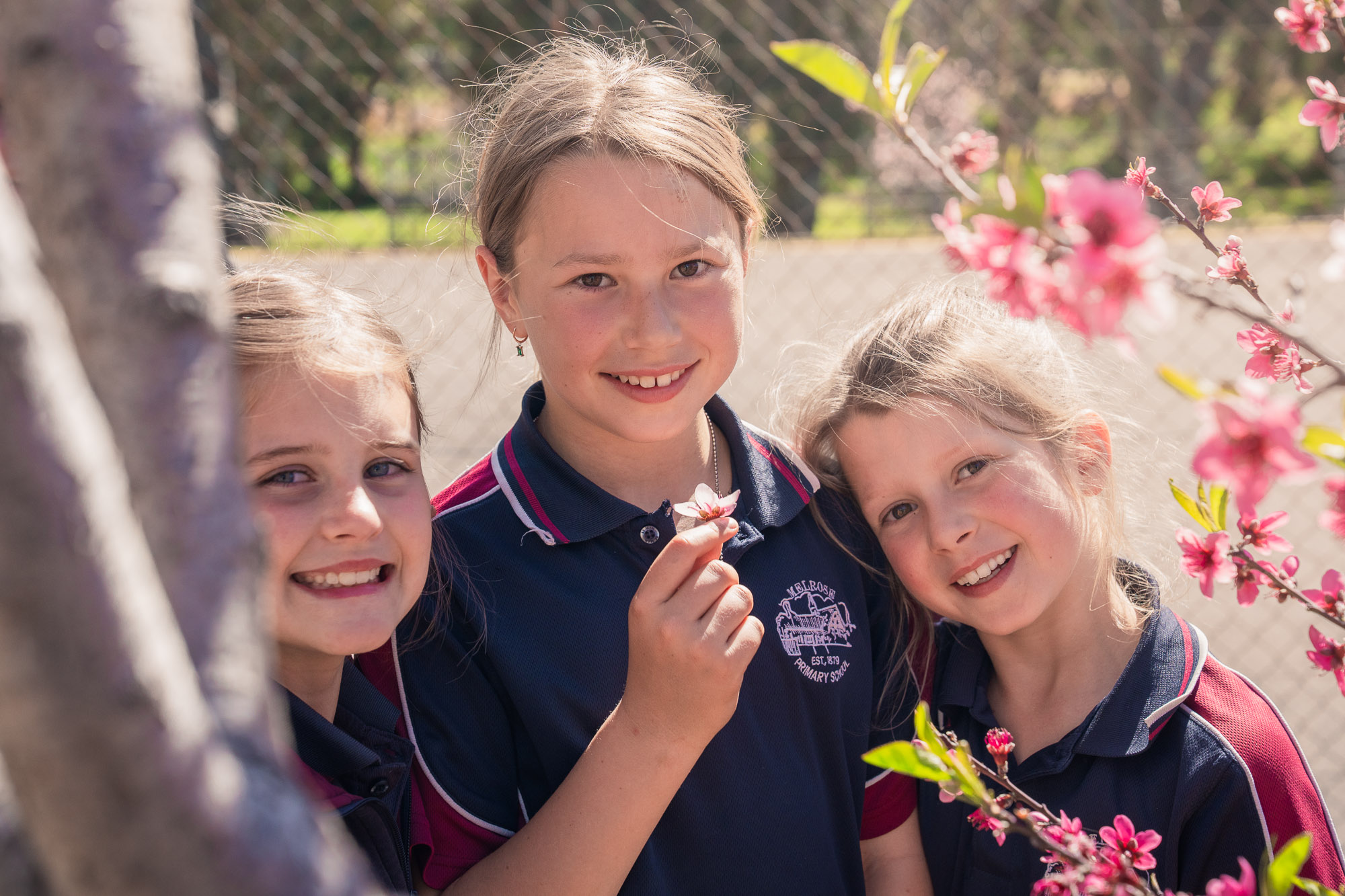 Melrose Primary School - web-17 Welcome — school grounds